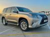 lexus_gx_2020_-_460_premier_4.png